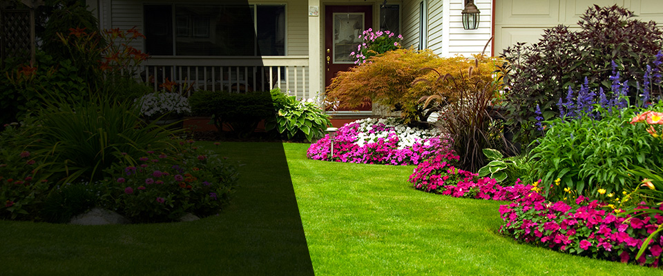 Indian Trail Landscapers