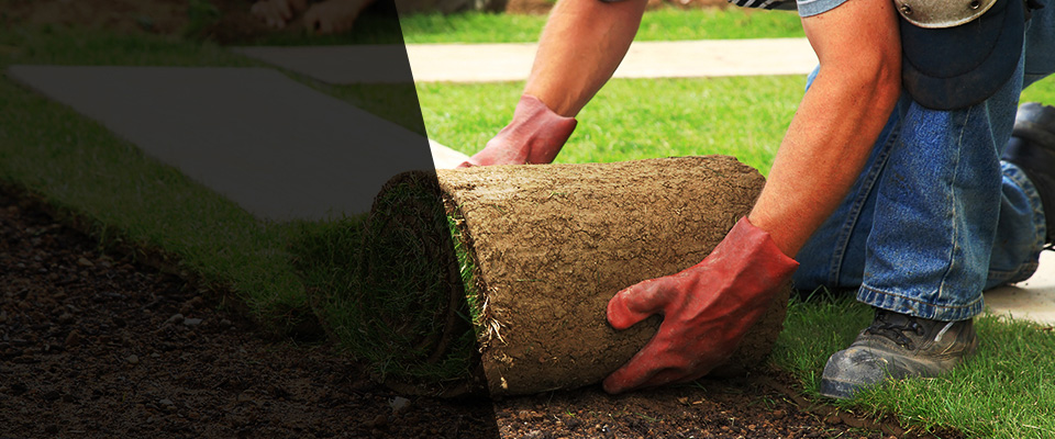 Indian Trail Landscapers